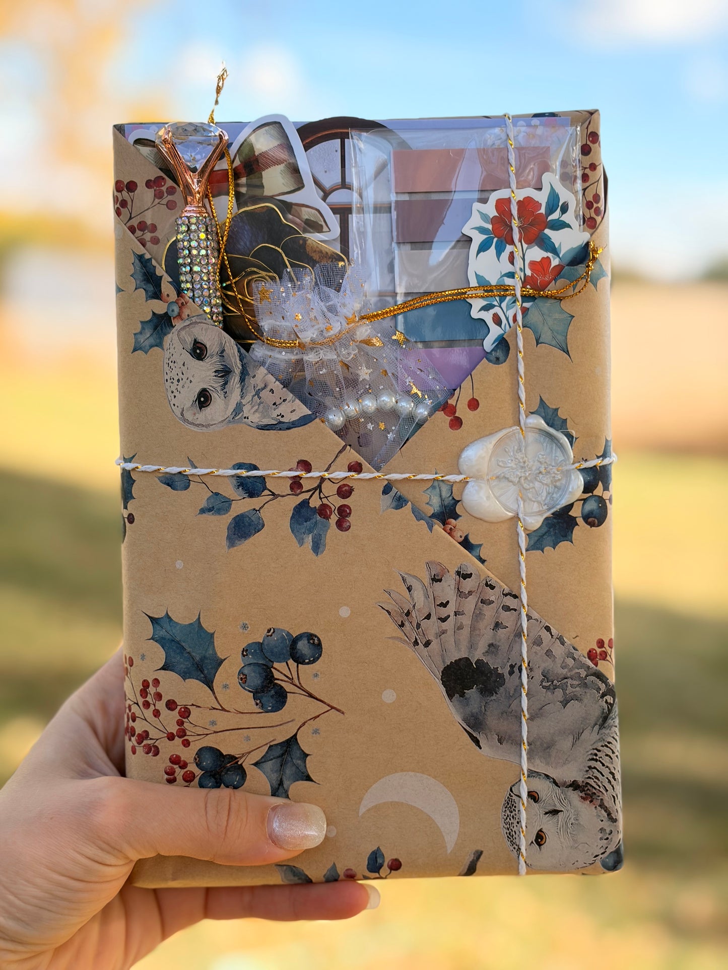 Blind Date with a Book- Holiday Wrapping